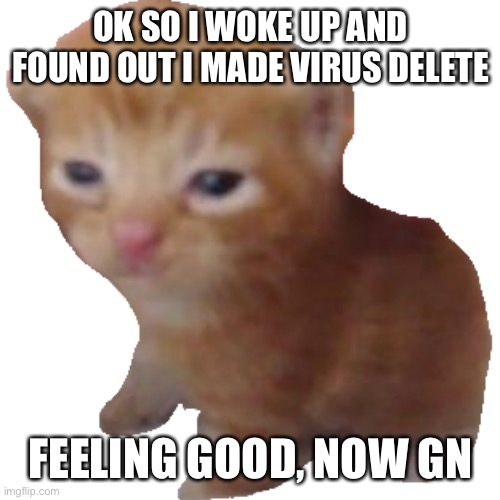 FUCK YOU | OK SO I WOKE UP AND FOUND OUT I MADE VIRUS DELETE; FEELING GOOD, NOW GN | image tagged in herbert | made w/ Imgflip meme maker