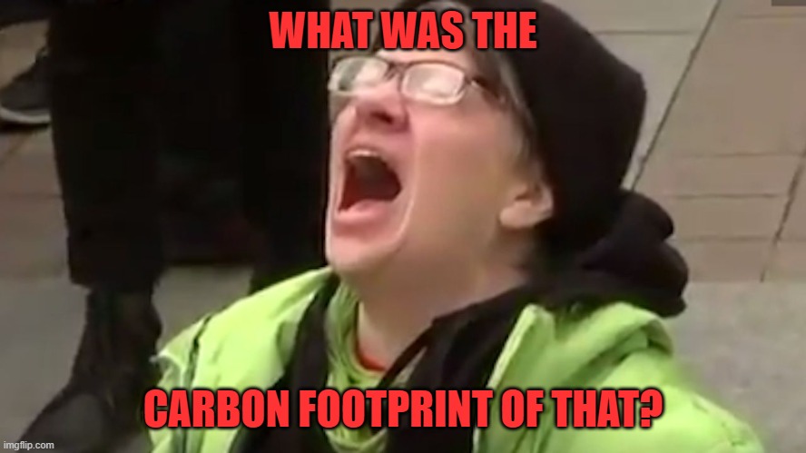 Screaming Liberal  | WHAT WAS THE CARBON FOOTPRINT OF THAT? | image tagged in screaming liberal | made w/ Imgflip meme maker