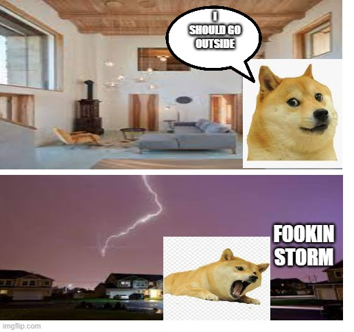 a normal day in the Philippines (don't ask why the doge's background is white instead clear) | I SHOULD GO OUTSIDE; FOOKIN STORM | image tagged in blank white template | made w/ Imgflip meme maker