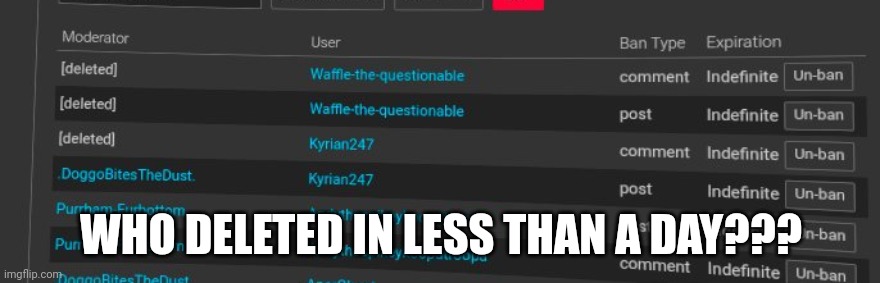 WHO DELETED IN LESS THAN A DAY??? | made w/ Imgflip meme maker