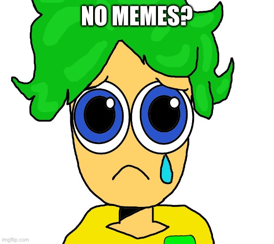 Sad z | NO MEMES? | image tagged in sad z | made w/ Imgflip meme maker