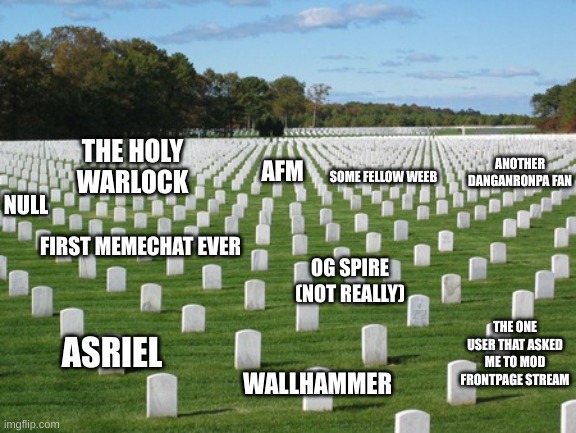 Fallen Soldiers | THE HOLY WARLOCK; ANOTHER DANGANRONPA FAN; AFM; SOME FELLOW WEEB; NULL; FIRST MEMECHAT EVER; OG SPIRE (NOT REALLY); THE ONE USER THAT ASKED ME TO MOD FRONTPAGE STREAM; ASRIEL; WALLHAMMER | image tagged in fallen soldiers | made w/ Imgflip meme maker