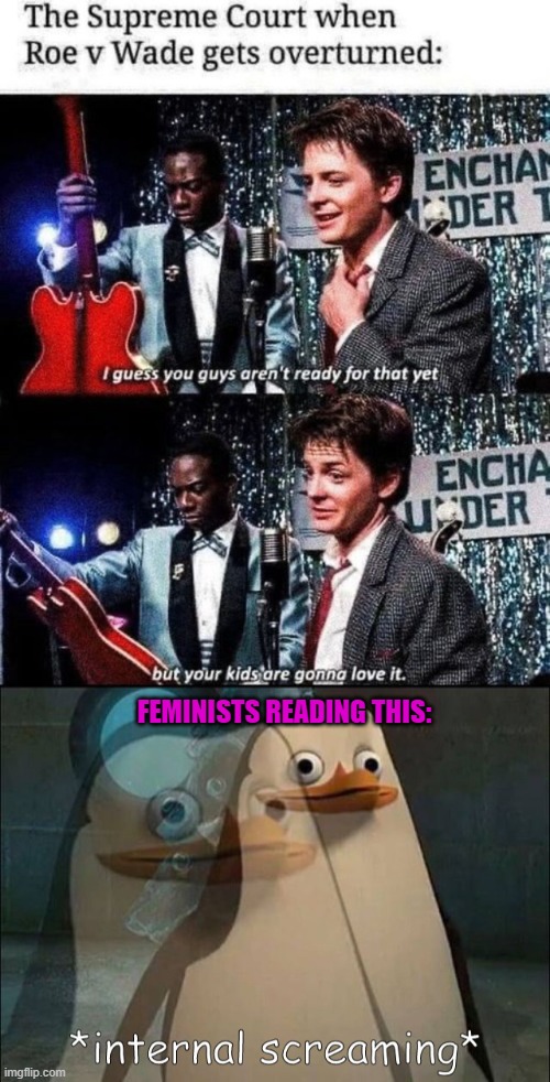 FEMINISTS READING THIS: | image tagged in memes,abortion,feminists,kids,internal screaming,supreme court | made w/ Imgflip meme maker