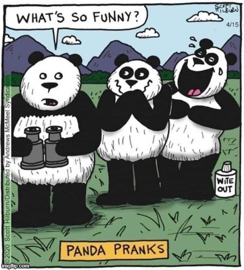 Panda | image tagged in pranks | made w/ Imgflip meme maker