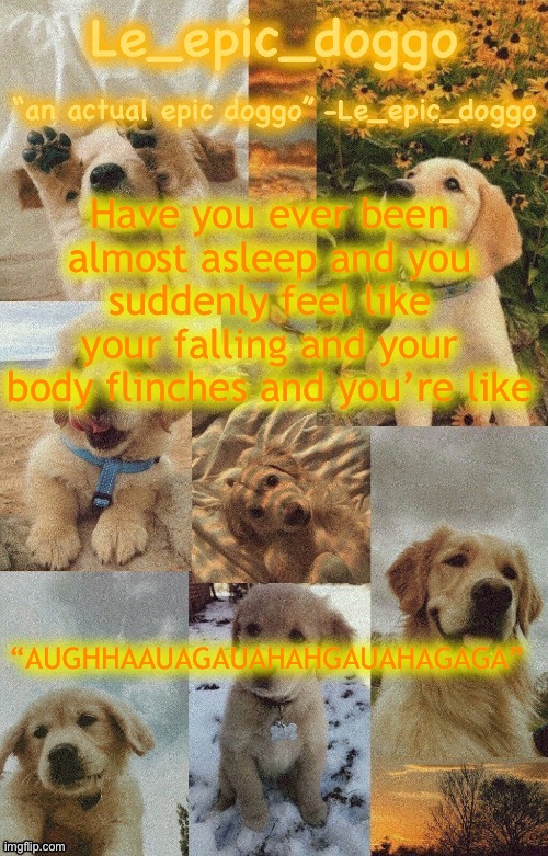 Doggo temp by doggo. Wait what that’s confusing | Have you ever been almost asleep and you suddenly feel like your falling and your body flinches and you’re like; “AUGHHAAUAGAUAHAHGAUAHAGAGA” | image tagged in doggo temp by doggo wait what that s confusing | made w/ Imgflip meme maker