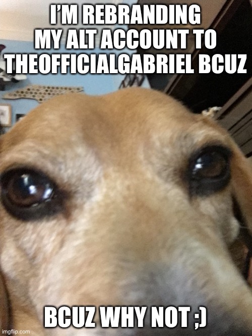 A | I’M REBRANDING MY ALT ACCOUNT TO THEOFFICIALGABRIEL BCUZ; BCUZ WHY NOT ;) | made w/ Imgflip meme maker