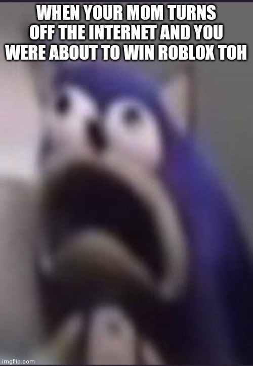 aughhhhhhhhhhhhhhhhhhh | WHEN YOUR MOM TURNS OFF THE INTERNET AND YOU WERE ABOUT TO WIN ROBLOX TOH | image tagged in aughhhhhhhhhhhhhhhhhhh | made w/ Imgflip meme maker