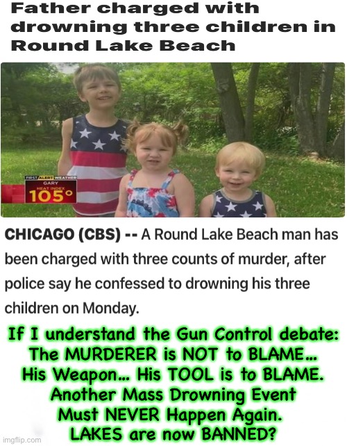 Every Parent Must be Scrutinized through a BACKGROUND CHECK. And a Federal Database.  Take Lessons, buy insurance, & a Tax Stamp | If I understand the Gun Control debate:
The MURDERER is NOT to BLAME…
His Weapon… His TOOL is to BLAME.
Another Mass Drowning Event
Must NEVER Happen Again. 
LAKES are now BANNED? | image tagged in memes,low capacity families,too many kids in one family,need government regulation,ya see how it falls apart | made w/ Imgflip meme maker