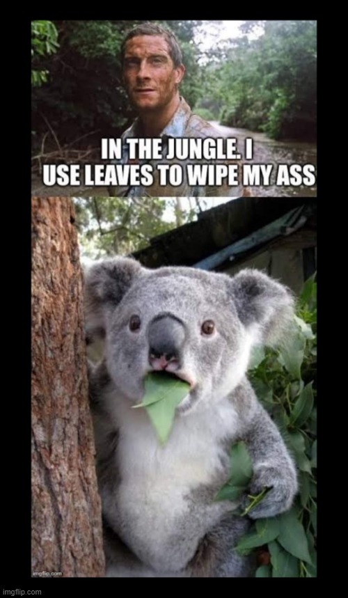 Jungles Wipes | image tagged in crap | made w/ Imgflip meme maker