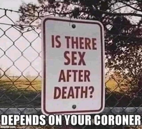 Sex after Death ? | image tagged in morgz | made w/ Imgflip meme maker