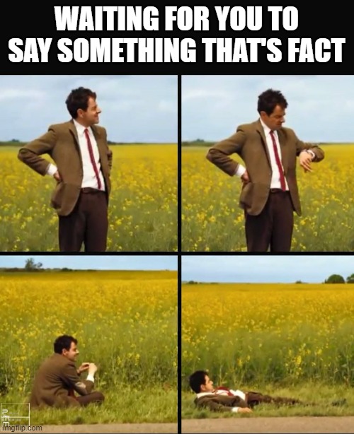 Mr bean waiting | WAITING FOR YOU TO SAY SOMETHING THAT'S FACT | image tagged in mr bean waiting | made w/ Imgflip meme maker