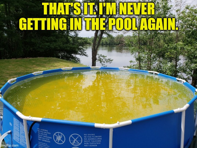 No. This is not ok. | THAT'S IT. I'M NEVER GETTING IN THE POOL AGAIN. | image tagged in this is not okie dokie,no,pee,stop peeing in the pool | made w/ Imgflip meme maker