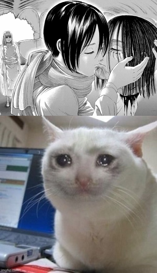 this makes me sad | image tagged in crying cat | made w/ Imgflip meme maker