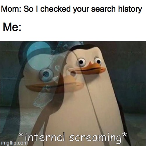 Mom: So I checked your search history; Me: | image tagged in blank white template,private internal screaming | made w/ Imgflip meme maker