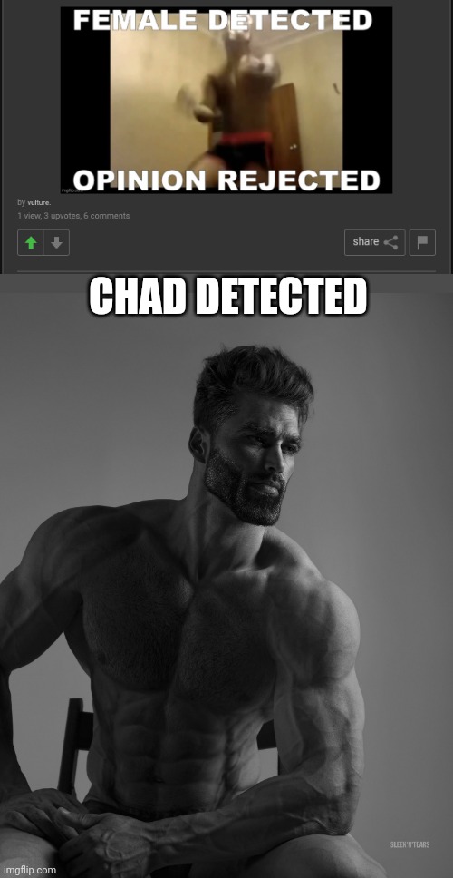 This is a joke | CHAD DETECTED | image tagged in giga chad | made w/ Imgflip meme maker