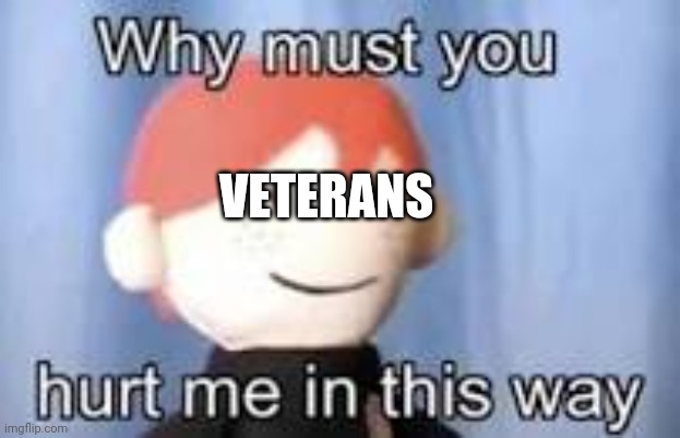 Why must you hurt me in this way | VETERANS | image tagged in why must you hurt me in this way | made w/ Imgflip meme maker