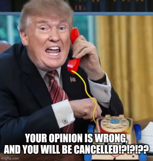 I'm the president | YOUR OPINION IS WRONG, AND YOU WILL BE CANCELLED!?!?!?? | image tagged in i'm the president | made w/ Imgflip meme maker