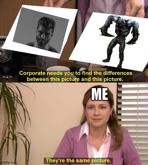 They are the same picture | ME | image tagged in they are the same picture | made w/ Imgflip meme maker