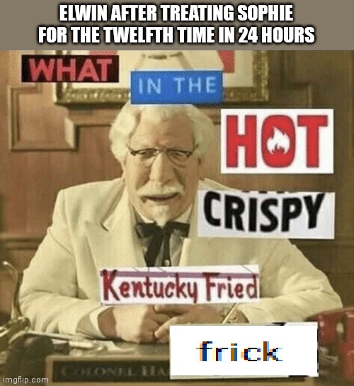 Elwinn | ELWIN AFTER TREATING SOPHIE FOR THE TWELFTH TIME IN 24 HOURS | image tagged in what in the hot crispy kentucky fried frick | made w/ Imgflip meme maker