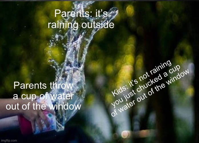 Water fun | Parents: it’s raining outside; Kids: it’s not raining you just chucked a cup of water out of the window; Parents throw a cup of water out of the window | image tagged in water | made w/ Imgflip meme maker