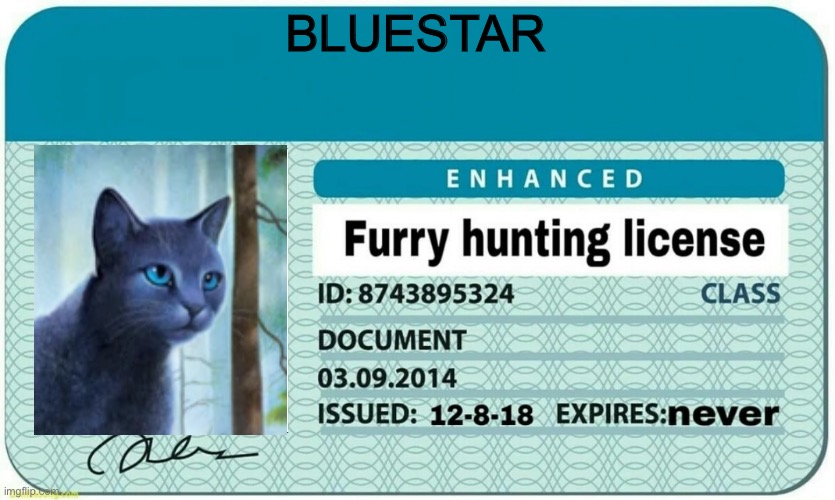Please? (mod note: ты товарищ) | BLUESTAR | image tagged in furry hunting license | made w/ Imgflip meme maker