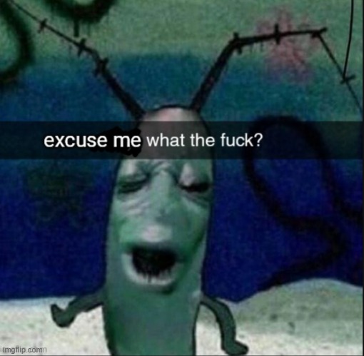 excuse me what the fuck? | image tagged in excuse me what the fuck | made w/ Imgflip meme maker