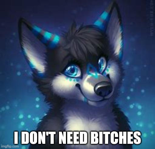 I DON'T NEED BITCHES | made w/ Imgflip meme maker