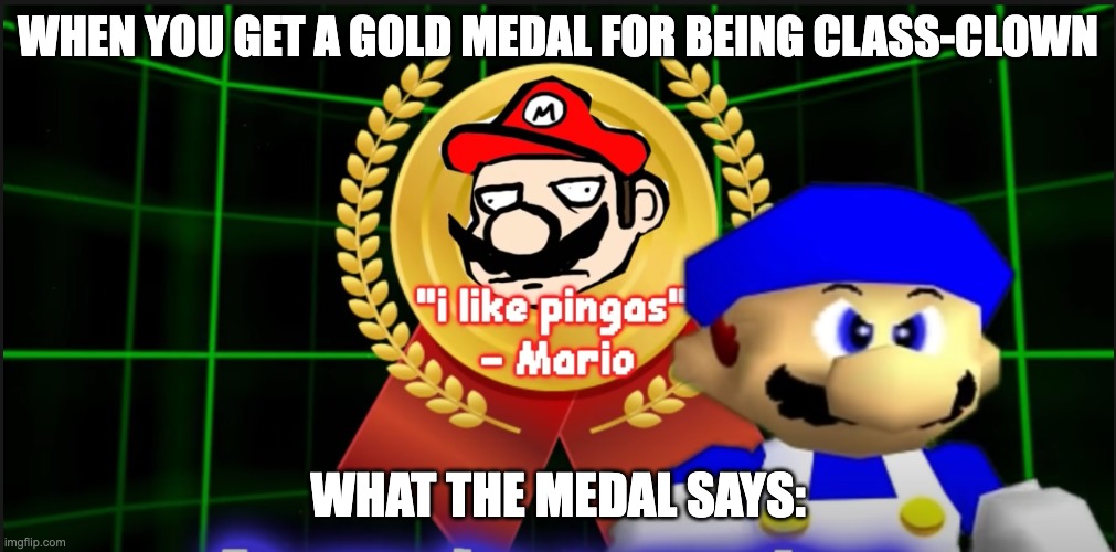 I like pingas. | WHEN YOU GET A GOLD MEDAL FOR BEING CLASS-CLOWN; WHAT THE MEDAL SAYS: | image tagged in pingas pendant | made w/ Imgflip meme maker