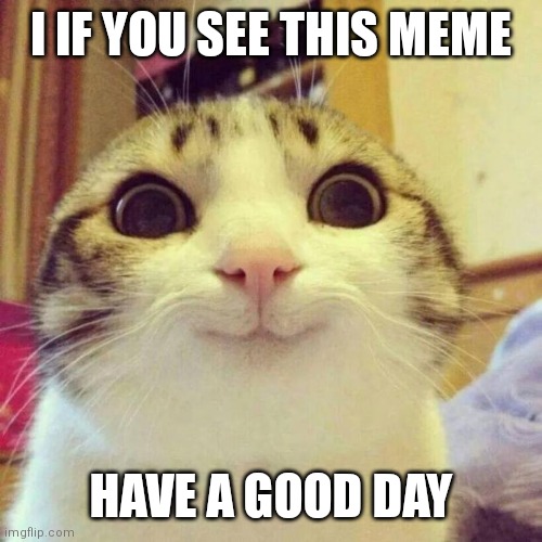 Cat gives you a blessing | I IF YOU SEE THIS MEME; HAVE A GOOD DAY | image tagged in memes,smiling cat | made w/ Imgflip meme maker