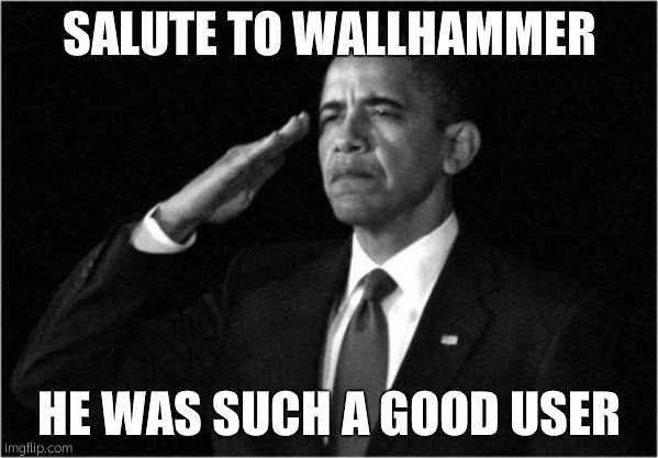obama-salute | SALUTE TO WALLHAMMER; HE WAS SUCH A GOOD USER | image tagged in obama-salute | made w/ Imgflip meme maker
