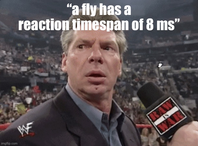 X when Y walks in | “a fly has a reaction timespan of 8 ms” | made w/ Imgflip meme maker