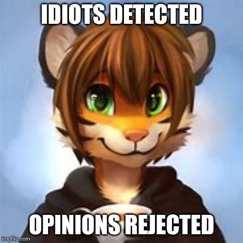 IDIOTS DETECTED; OPINIONS REJECTED | made w/ Imgflip meme maker