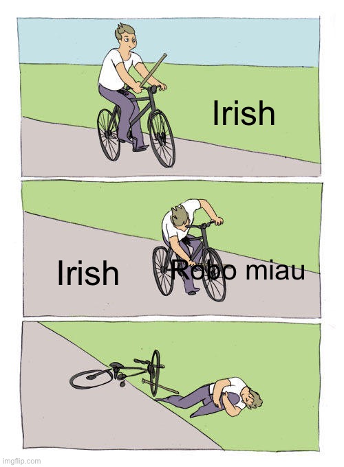 It’s me Irish | Irish; Irish; Robo miau | image tagged in memes,bike fall | made w/ Imgflip meme maker