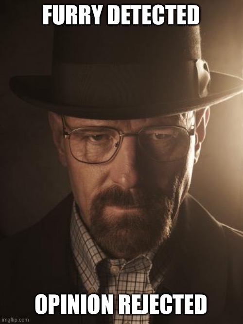 Walter White | FURRY DETECTED OPINION REJECTED | image tagged in walter white | made w/ Imgflip meme maker