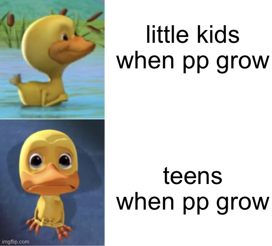 it comes at the least expected moment and its impossible to sleep like that | little kids when pp grow; teens when pp grow | image tagged in happy duck and sad duck | made w/ Imgflip meme maker