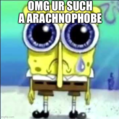 Sad Spongebob | OMG UR SUCH A ARACHNOPHOBE | image tagged in sad spongebob | made w/ Imgflip meme maker