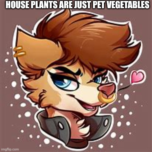 HOUSE PLANTS ARE JUST PET VEGETABLES | made w/ Imgflip meme maker