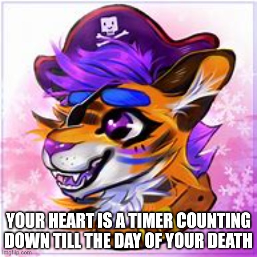 YOUR HEART IS A TIMER COUNTING DOWN TILL THE DAY OF YOUR DEATH | made w/ Imgflip meme maker
