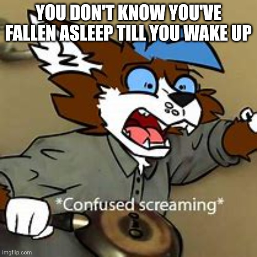 YOU DON'T KNOW YOU'VE FALLEN ASLEEP TILL YOU WAKE UP | made w/ Imgflip meme maker