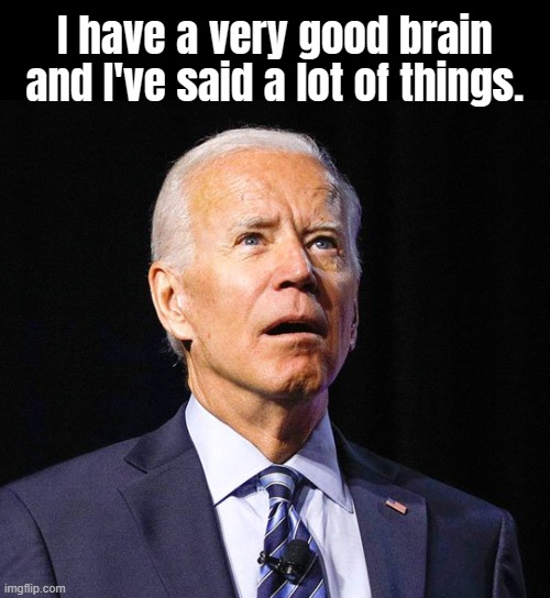 DID I SAY THAT? | I have a very good brain and I've said a lot of things. | image tagged in president_joe_biden,did i stutter,shit my dude says,anti trump,you don't say,say what | made w/ Imgflip meme maker
