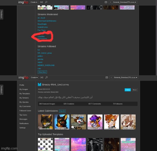 proof that breezy is a zoophile | image tagged in anti furry | made w/ Imgflip meme maker