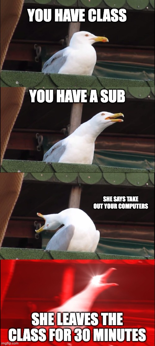 SuBsTiTuTe TeAcHeRs | YOU HAVE CLASS; YOU HAVE A SUB; SHE SAYS TAKE OUT YOUR COMPUTERS; SHE LEAVES THE CLASS FOR 30 MINUTES | image tagged in memes,inhaling seagull | made w/ Imgflip meme maker