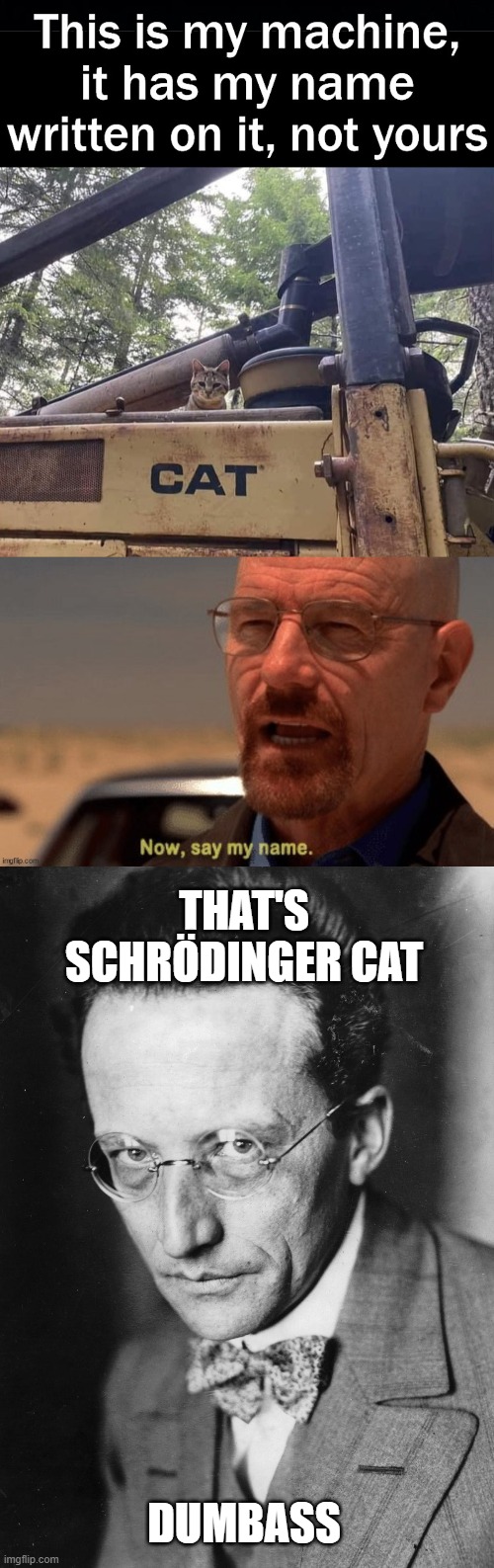 Schrödinger Not Heisenberg |  THAT'S SCHRÖDINGER CAT; DUMBASS | image tagged in physics,quantum physics,science,meth,breaking bad,bulldozer | made w/ Imgflip meme maker