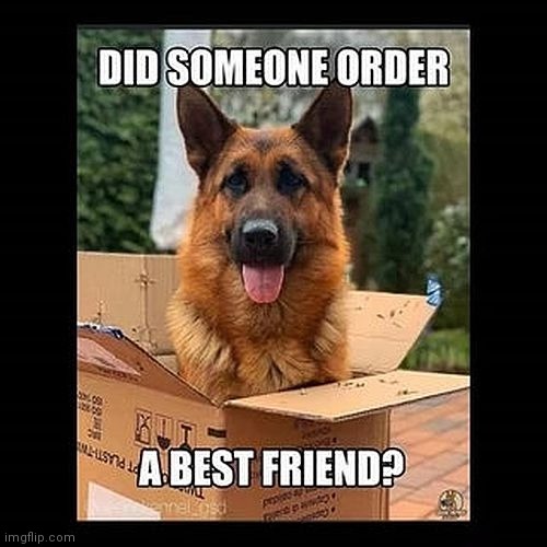 Amazon will ship anything | image tagged in buddie,shipped,surprise | made w/ Imgflip meme maker