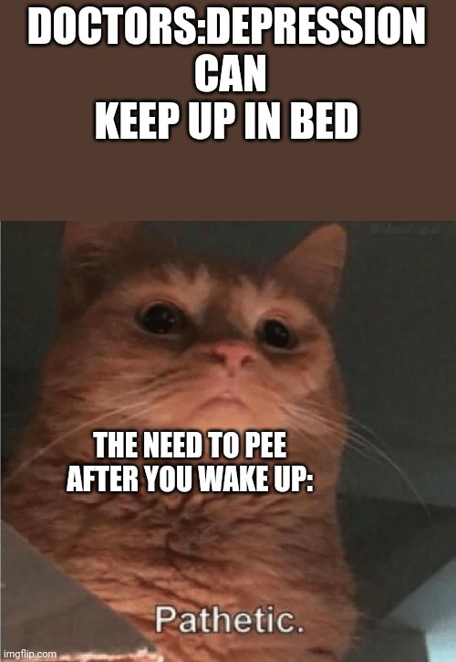 Sad | DOCTORS:DEPRESSION  CAN KEEP UP IN BED; THE NEED TO PEE AFTER YOU WAKE UP: | image tagged in pathetic cat | made w/ Imgflip meme maker