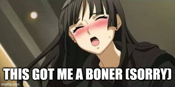 Anime blushing | THIS GOT ME A BONER (SORRY) | image tagged in anime blushing | made w/ Imgflip meme maker