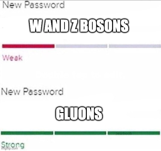 Bosons |  W AND Z BOSONS; GLUONS | image tagged in password strength,physics,quantum physics | made w/ Imgflip meme maker