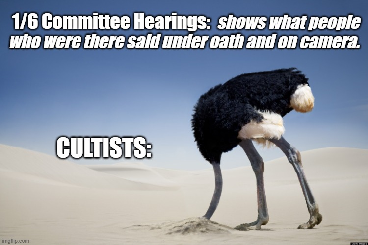 The problem with cultists | 1/6 Committee Hearings:; shows what people
who were there said under oath and on camera. CULTISTS: | image tagged in ostrich head in sand | made w/ Imgflip meme maker