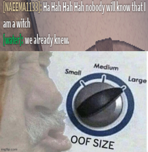 Oof size large | image tagged in oof size large,roblox,roasted | made w/ Imgflip meme maker