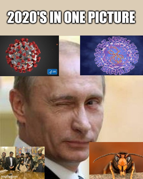 2020's be like: | 2020'S IN ONE PICTURE | image tagged in putin,covid,monkeypox,taliban,murder hornet,2020s | made w/ Imgflip meme maker